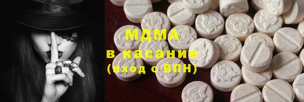 гашик Алексин