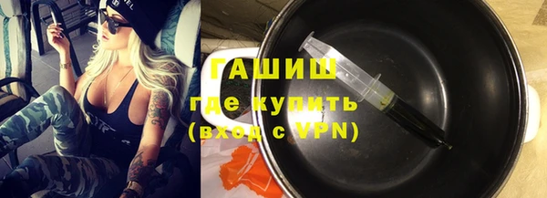 гашик Алексин