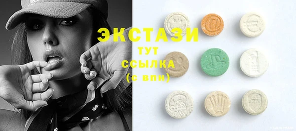 гашик Алексин