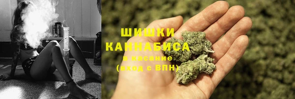 гашик Алексин