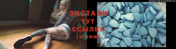 гашик Алексин