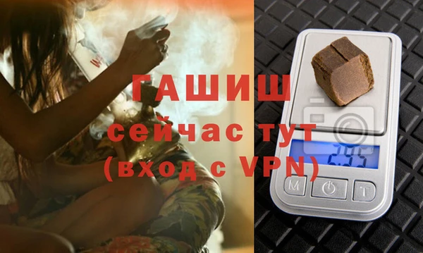 гашик Алексин