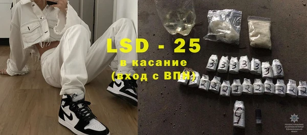 гашик Алексин