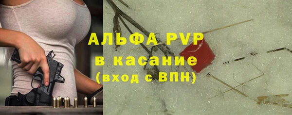 гашик Алексин