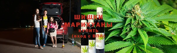 гашик Алексин