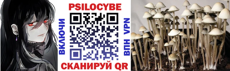 Псилоцибиновые грибы Psilocybe  ОМГ ОМГ зеркало  Николаевск-на-Амуре  что такое наркотик 