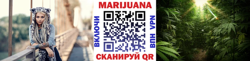 Бошки Шишки конопля  Николаевск-на-Амуре 